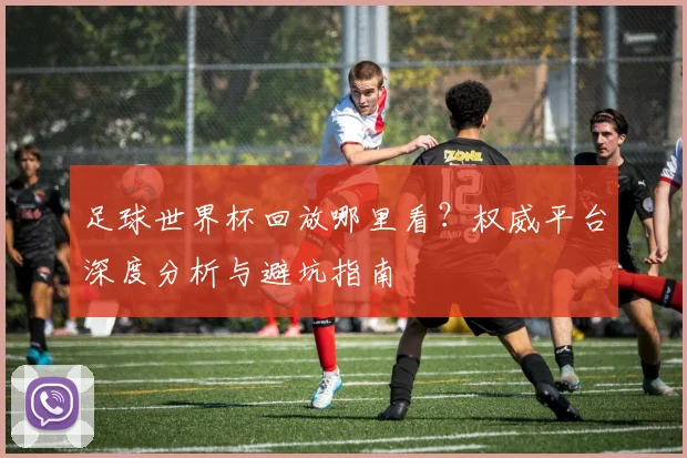 足球世界杯回放哪里看？权威平台深度分析与避坑指南