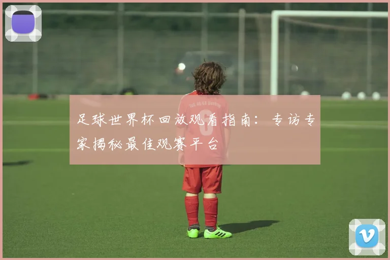 足球世界杯回放观看指南：专访专家揭秘最佳观赛平台